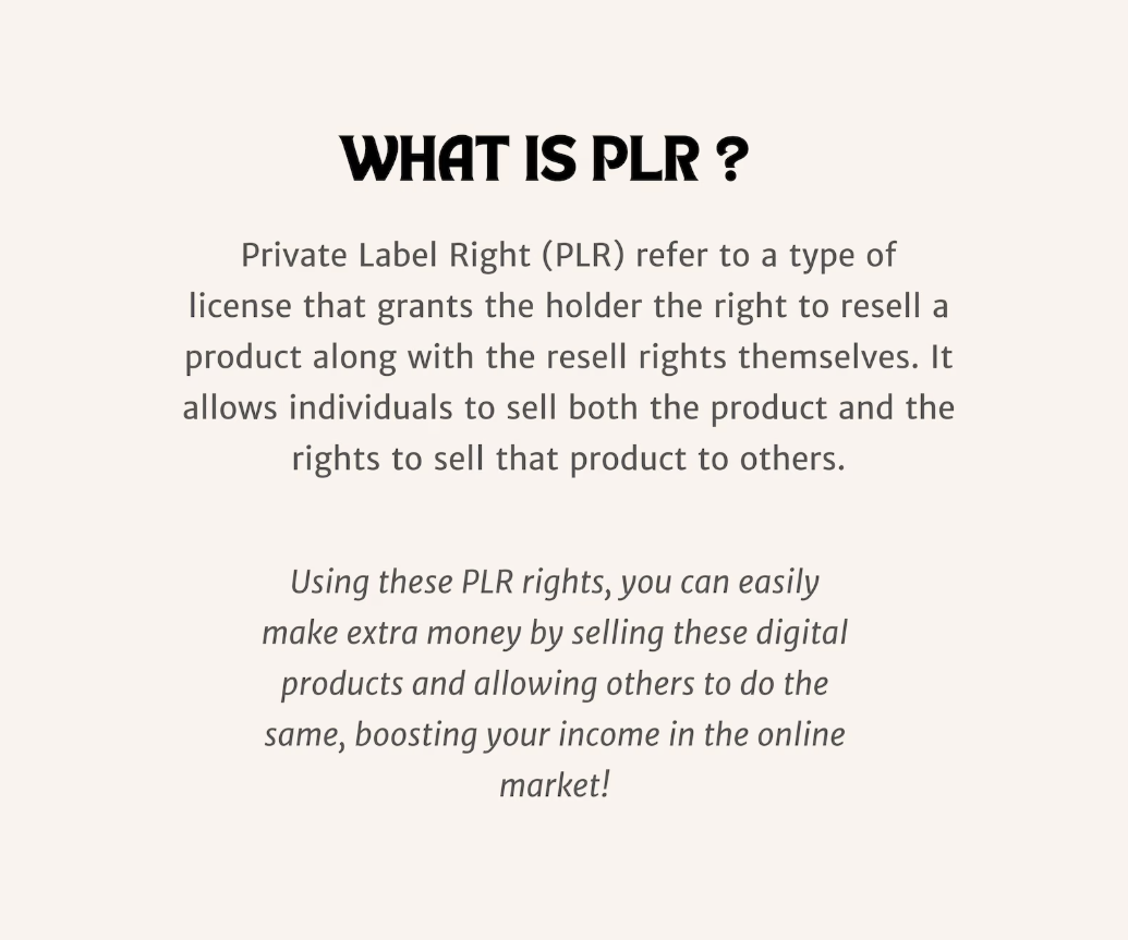 2026 PLR/ MRR Digital Planner